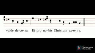 Antiphona Mariana: Ave Regina Caelorum Tonus Simplex