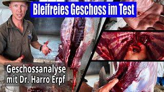 Tierarzt Dr. Harro Erpf analysiert die Wirkung eines bleifreien Geschosses | JAGD TOTAL