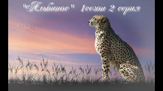 Мини фильм WildCraft "Альбинос" 1 сезон 2 серия