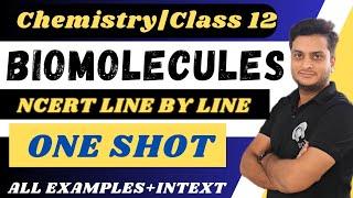 Biomolecules|One Shot|Chemistry|Carbohydrates|Nucleic Acid  #biomolecules #nucleicacids  #neet2024