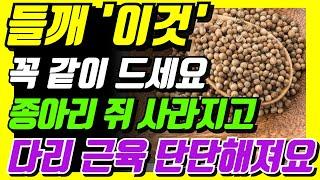 들깨와 같이 먹으면 보약되는 음식 3가지. 천연 종합 영양제. 들깨 미역국. 들기름. 들깨가루 먹는방법. 미역. 감자. 건강음식,당뇨음식,혈당관리 #들깨 #들깨미역국 #건강정보