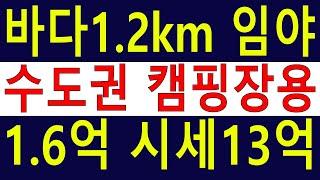 유찰. 수도권임야 캠핑장용 수~~천평 보전관리 임야 밭같은 완만한 경사 도로전기완벽 건축개발 가 [땅과함께]경매임야,공매임야,6차산업,캠핑교회
