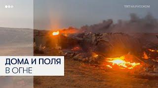 Поселенцы напали на палестинскую деревню: десятки раненых