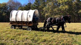 DRAFT HORSES // Happy Thanksgiving and taking the covered wagon out