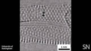 Watch chemical bonds forming and breaking in a molecule | Science News