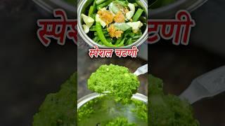 गरमीच्या दिवसात जेवण जात नसेल तर बनवा ही स्पेशल चटणी | Special Chutney Recipe