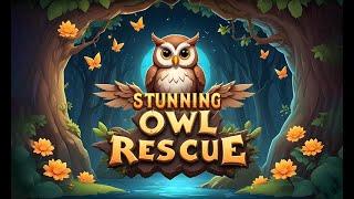 G4K Stunning Owl Rescue Game Walkthrough