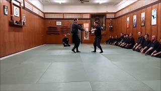 Casey Lake Nanadan Demo -Bujinkan Budo Taijutsu (Ninjutsu)