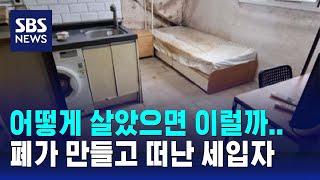 곳곳 곰팡이에 벌레알까지…'폐가' 만들고 떠난 세입자 / SBS / 오클릭