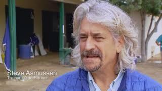 2017 Breeders' Cup World Championships - Gun Runner
