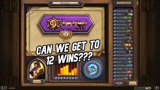 11 Wins Paladin Arena, Can We Manage to Get 12 Wins?!