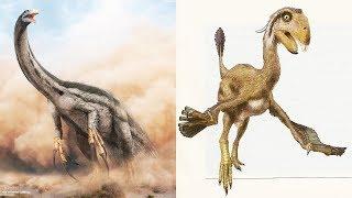 10 WEIRDEST DINOSAURS You Won't Believe Existed