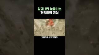 진격의 거인)눈물나는 거인들의 진실