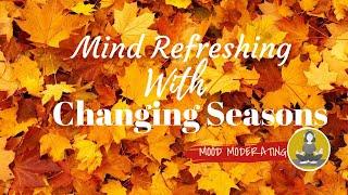 Mind Refreshing with Seasons | 1 Hour Calm Music | Meditation | Mood Moderating |