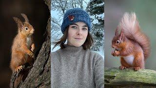 A Red Squirrel Story in the Scottish Highlands