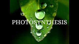 Microscopic View of PHOTOSYNTHESIS  # scientia-Techne Episteme