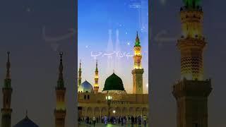 Nabi ki ulfat#nabi ki chaat# allah  ka chahne walo like this video