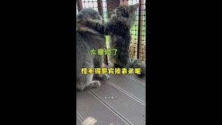 怪不得揍他呢，活该了也就是说！！！