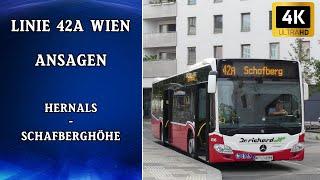 Linie 42A Wien Ansagen – Hernals - Schafberghöhe | Wiener Grantler