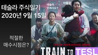 테슬라 주식일기, 언제사야 하는가?