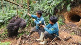 Two hunters set traps to catch a monster like King Kong living in a cave