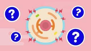 Emerging Therapeutics for APOL1-Mediated Kidney Disease