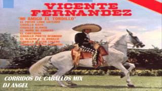 VICENTE FERNANDEZ CORRIDOS DE CABALLOS MIX