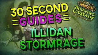 Illidan Stormrage - Black Temple - 30 Second Guides