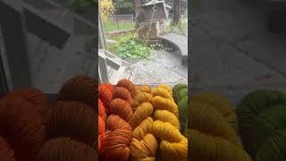 Some of our hand dyed yarn 