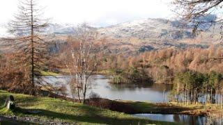 Lake District Walks: Tarn Hows