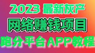 2024灰产项目|网赚 |网络赚钱 |毫无风险，教你十分钟就可以赚到1000。灰产 跑分 跑货 真实演示（真实网站测试）