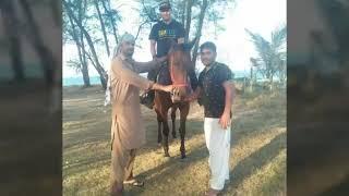 ARFAN GUJJAR