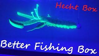 Große Dinge in der Hecht Box von Better Fishing Unboxing Wassertest