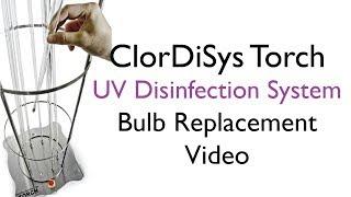 ClorDiSys Solutions, Inc - Torch Bulb Replacement