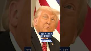 Trump wowed by Qatar's Royal Palace #foxnews #news #us #fox #trump #qatar #shorts #politics #world