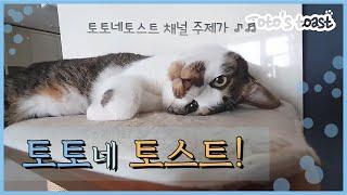 토토네 토스트! | 토토네토스트 채널 주제가