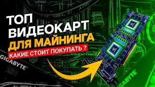 Топ видеокарт для майнинга. Какую видеокарту выбрать для майнинга: RTX3080/RTX3070/RTX3060ti/RX570