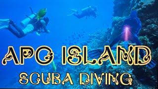 APO ISLAND ADVENTURE 2024 - SCUBA DIVING