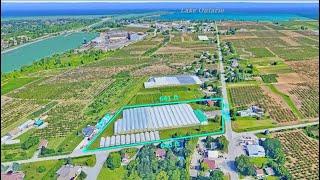 Ontario Greenhouse for Sale - Modern Greenhouse in St. Catharine