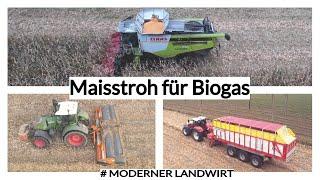 Maisstroh für Biogas / CLAAS LEXION 770 / Fendt 724 / BioChipper / STEYR CVT 6185 / Pöttinger JUMBO