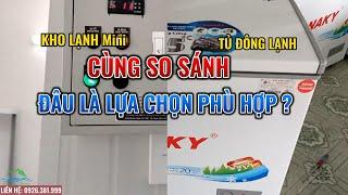 So sánh "Kho Lạnh mini" và "Tủ Đông" xem đâu mới là thiết bị doanh nghiệp nhỏ nên dùng