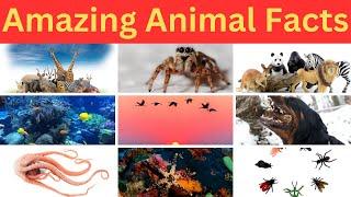 Amazing Animal Facts You’ve Never Heard Before: Quick Quiz #quiz #facts