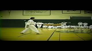 Young Brothers TKD adult self defense skit