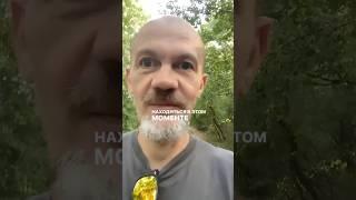 Тишина ума это базовая настройка #медитация