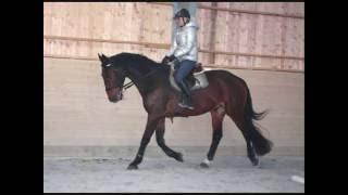 callesfilm.wmv