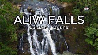 Aliw Falls | Pilgrim’s Dream Ecofarm & Resort | Luisiana Laguna | Richard Cabile Vlog