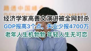 深度解读：经济学家高善文昨天的精彩演讲为何被全网封杀？有哪些猛料？惹恼了谁？(20241203第1316期)