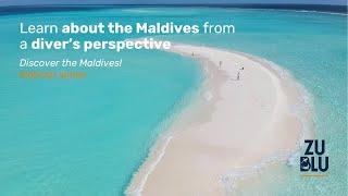 Learn about the Maldives from a diver’s perspective