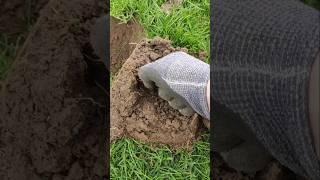 our worst nightmare ️ #metaldetecting #passion #treasurehunting #history #hobby