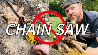 Cutting Down Multiple Stumps with No Chain Saw